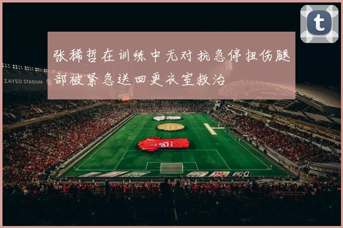 张稀哲在训练中无对抗急停扭伤腿部被紧急送回更衣室救治