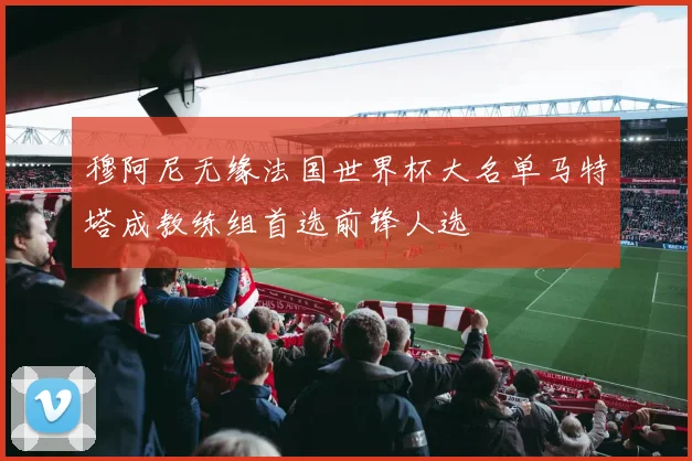 穆阿尼无缘法国世界杯大名单马特塔成教练组首选前锋人选